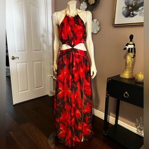 Fashion Nova Red and Black Maxi Dress